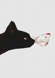 人間好時節 (1v1H) 人間好時節 (1v1H)