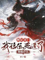 侧妃进门我让位,死遁了你疯什么 侧妃进门我让位,死遁了你疯什么