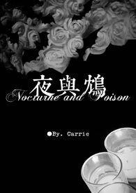 夜与鸩 夜与鸩