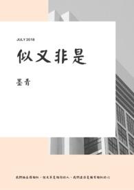 似又非是 似又非是