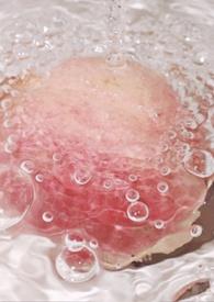 被俘(np) 被俘(np)