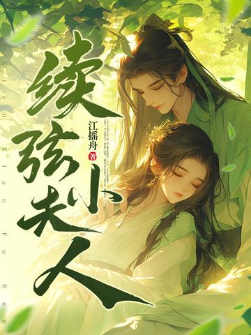 续弦小夫人 续弦小夫人