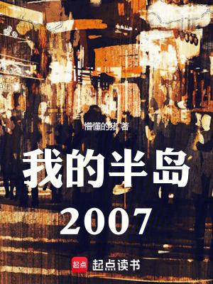 我的半岛2007 我的半岛2007